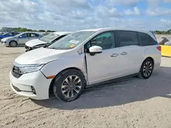 5FNRL6H69RB048850 2024 HONDA ODYSSEY