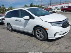 5FNRL6H69RB051151 2024 HONDA ODYSSEY