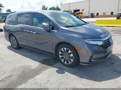 5FNRL6H69RB053126 2024 HONDA ODYSSEY