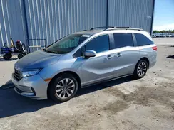 5FNRL6H69RB058259 2024 HONDA ODYSSEY