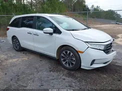 5FNRL6H69RB058813 2024 HONDA ODYSSEY