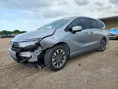 5FNRL6H69RB060836 2024 HONDA ODYSSEY