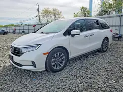 5FNRL6H69RB064806 2024 HONDA ODYSSEY