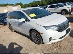 5FNRL6H69RB068869 2024 HONDA ODYSSEY