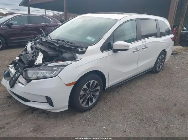 5FNRL6H69RB069455 2024 HONDA ODYSSEY - Image 2