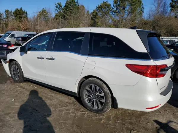 5FNRL6H69RB070816 2024 HONDA ODYSSEY - Image 2