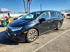 5FNRL6H69RB074736 2024 HONDA ODYSSEY