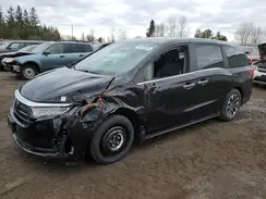 5FNRL6H69RB501705 2024 HONDA ODYSSEY