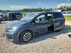 5FNRL6H69SB037241 2025 HONDA ODYSSEY