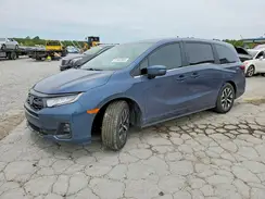 5FNRL6H69TB031084 2026 HONDA ODYSSEY