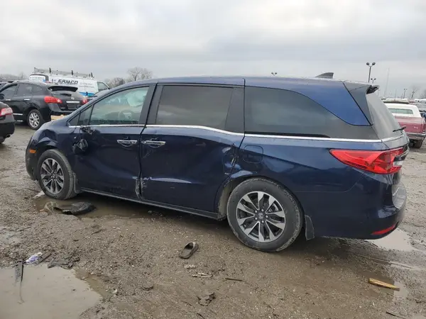 5FNRL6H6RB066770 2024 HONDA ODYSSEY - Image 2