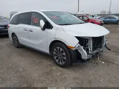 5FNRL6H6XPB004269 2023 HONDA ODYSSEY