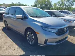 5FNRL6H6XPB004501 2023 HONDA ODYSSEY