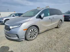 5FNRL6H6XPB032993 2023 HONDA ODYSSEY