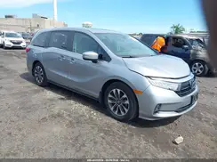 5FNRL6H6XPB071924 2023 HONDA ODYSSEY
