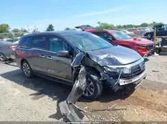 5FNRL6H6XPB072863 2023 HONDA ODYSSEY