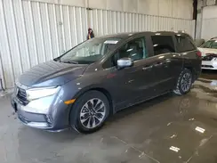 5FNRL6H6XPB079232 2023 HONDA ODYSSEY