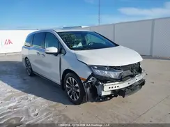 5FNRL6H6XPB503380 2023 HONDA ODYSSEY