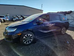 5FNRL6H6XRB004369 2024 HONDA ODYSSEY