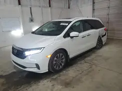 5FNRL6H6XRB010768 2024 HONDA ODYSSEY