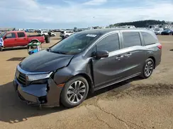 5FNRL6H6XRB016148 2024 HONDA ODYSSEY