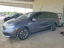 5FNRL6H6XRB016151 2024 HONDA ODYSSEY