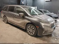 5FNRL6H6XRB037954 2024 HONDA ODYSSEY