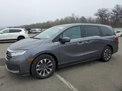 5FNRL6H6XRB041552 2024 HONDA ODYSSEY
