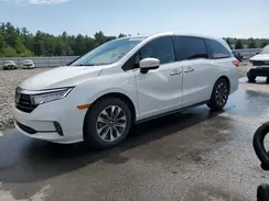 5FNRL6H6XRB042183 2024 HONDA ODYSSEY