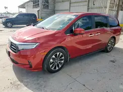 5FNRL6H6XRB045388 2024 HONDA ODYSSEY