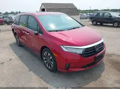 5FNRL6H6XRB045391 2024 HONDA ODYSSEY