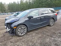5FNRL6H6XRB045892 2024 HONDA ODYSSEY