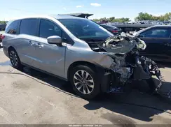 5FNRL6H6XRB046637 2024 HONDA ODYSSEY