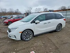 5FNRL6H6XRB048307 2024 HONDA ODYSSEY