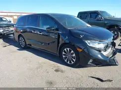 5FNRL6H6XRB050266 2024 HONDA ODYSSEY