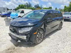 5FNRL6H6XRB052101 2024 HONDA ODYSSEY