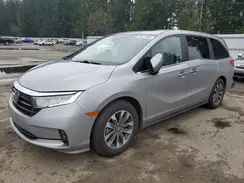 5FNRL6H6XRB052664 2024 HONDA ODYSSEY
