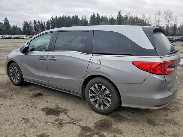 5FNRL6H6XRB052664 2024 HONDA ODYSSEY - Image 2