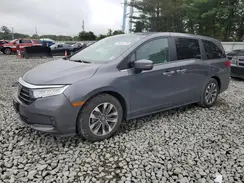 5FNRL6H6XRB053927 2024 HONDA ODYSSEY