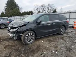5FNRL6H6XRB057847 2024 HONDA ODYSSEY