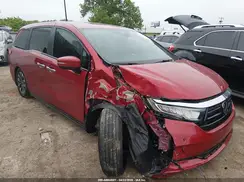 5FNRL6H6XRB065527 2024 HONDA ODYSSEY