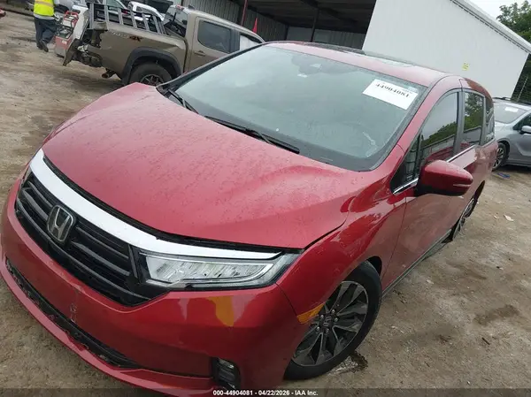 5FNRL6H6XRB065527 2024 HONDA ODYSSEY - Image 2