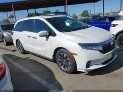 5FNRL6H6XRB069223 2024 HONDA ODYSSEY
