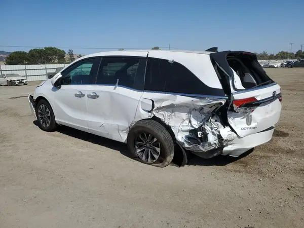 5FNRL6H6XRB069495 2024 HONDA ODYSSEY - Image 2
