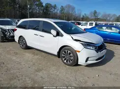 5FNRL6H6XRB070789 2024 HONDA ODYSSEY