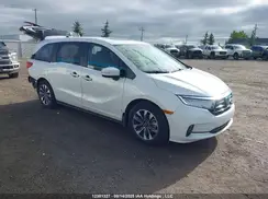 5FNRL6H6XRB504001 2024 HONDA ODYSSEY