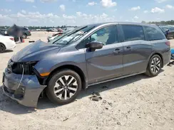 5FNRL6H6XSB050256 2025 HONDA ODYSSEY