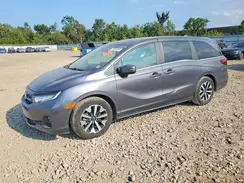 5FNRL6H6XSB060270 2025 HONDA ODYSSEY