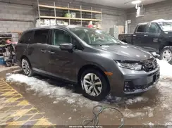 5FNRL6H6XSB082429 2025 HONDA ODYSSEY
