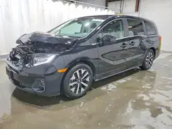 5FNRL6H6XSB086531 2025 HONDA ODYSSEY